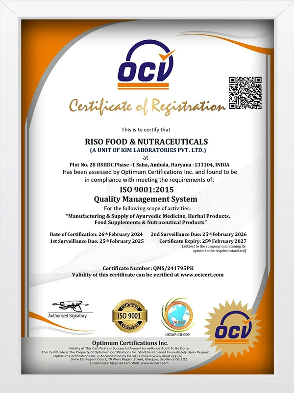 ISO9001