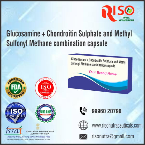glucosamine-chondroitin-sulphate-and-methyl-sulfonylmethane-combination-capsule