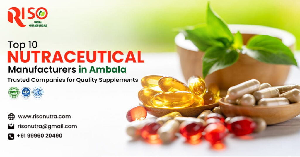 Top 10 Nutraceutical Manufacturers in Ambala