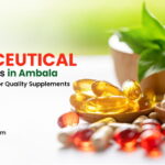 List of Nutraceutical Manufacturers in Ambala