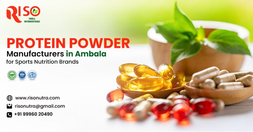 Protein Powder Manufacturers in Ambala for Sports Nutrition Brands