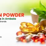 Protein Powder Manufacturers in Ambala