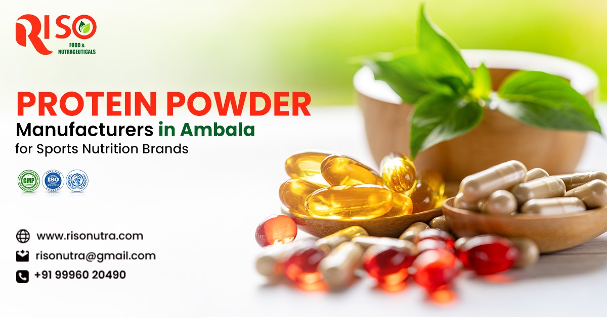 Protein Powder Manufacturers in Ambala for Sports Nutrition Brands