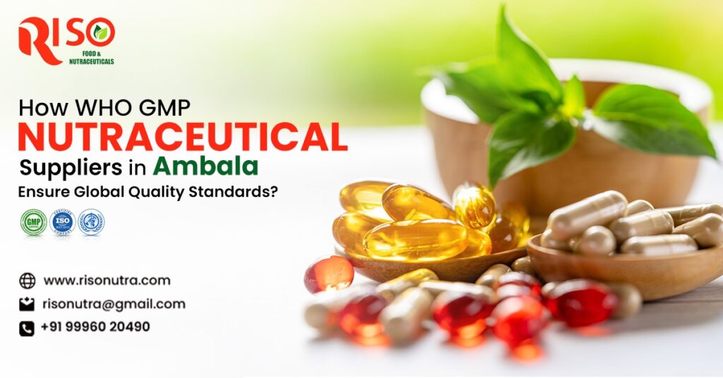 How WHO GMP Nutraceutical Suppliers in Ambala Ensure Global Quality Standards?