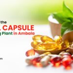 Softgel Capsule Manufacturing