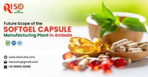 Future Scope of Softgel Capsule Manufacturing Plant in Ambala