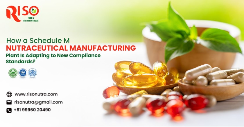 How Schedule M Nutraceutical Manufacturing Plant is transforming with new compliance?
