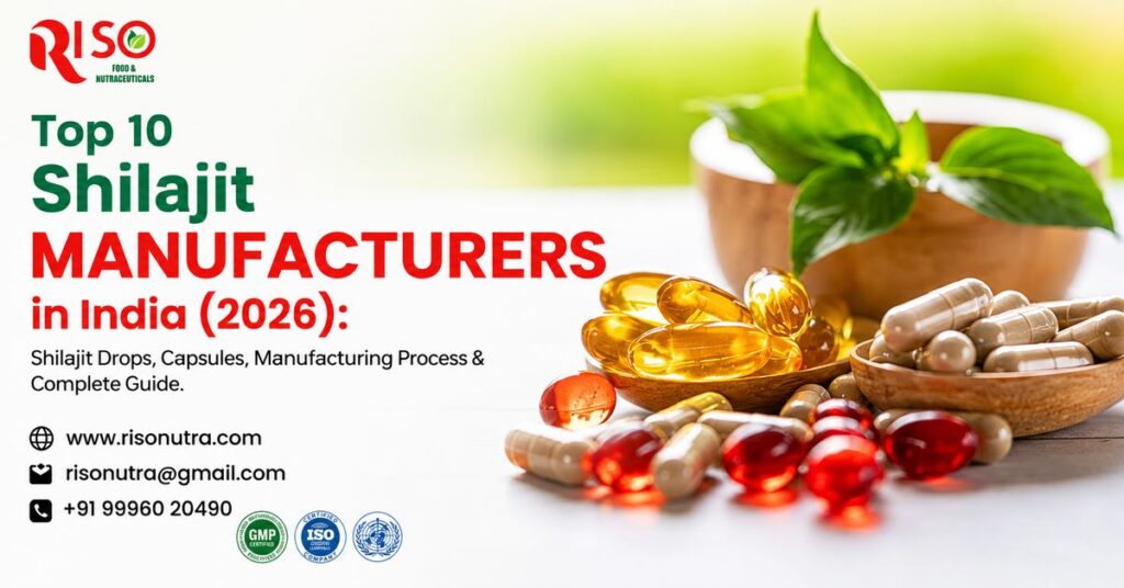  Top 10 Shilajit Manufacturers in India (2026): Shilajit Drops, Capsules, Manufacturing Process & Complete Guide