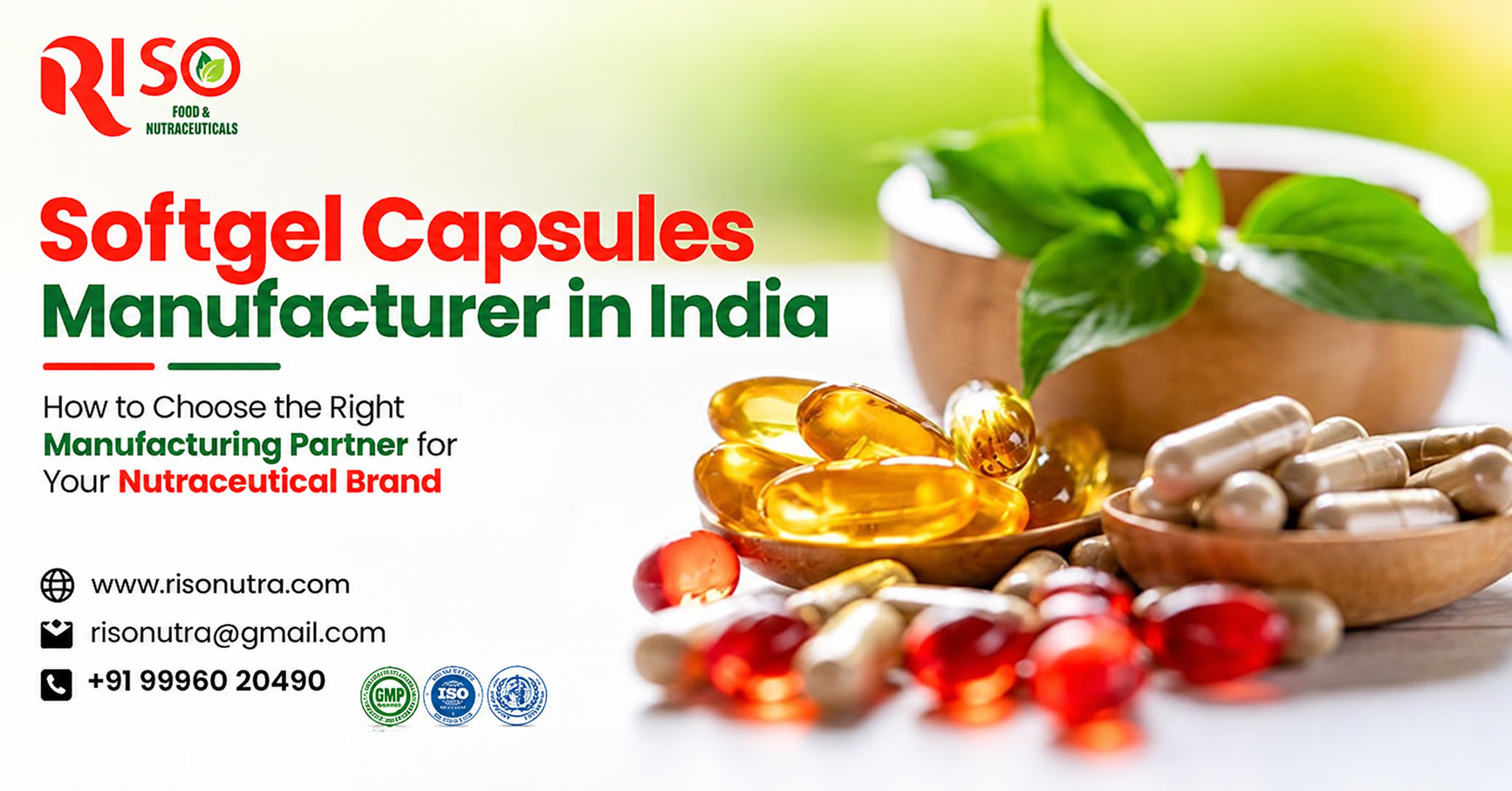 How Can Nutraceutical Brands Choose the Right Softgel Capsule Manufacturer in India?